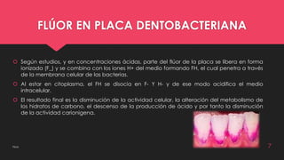 FLÚOR EN PLACA DENTOBACTERIANA 
 Según estudios, y en concentraciones ácidas, parte del flúor de la placa se libera en forma 
ionizada (F_) y se combina con los iones H+ del medio formando FH, el cual penetra a través 
de la membrana celular de las bacterias. 
 Al estar en citoplasma, el FH se disocia en F- Y H- y de ese modo acidifica el medio 
intracelular. 
 El resultado final es la disminución de la actividad celular, la alteración del metabolismo de 
los hidratos de carbono, el descenso de la producción de ácido y por tanto la disminución 
de la actividad carionigena. 
Flúor 7 
 
