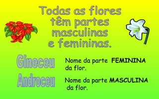 Nome da parte FEMININA
da flor.
Nome da parte MASCULINA
da flor.
 