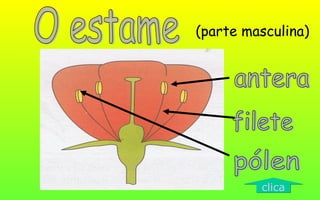 (parte masculina)
clicaclica
 