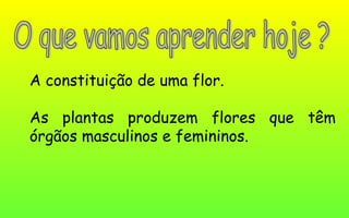 As plantas produzem flores que têm
órgãos masculinos e femininos.
A constituição de uma flor.
 