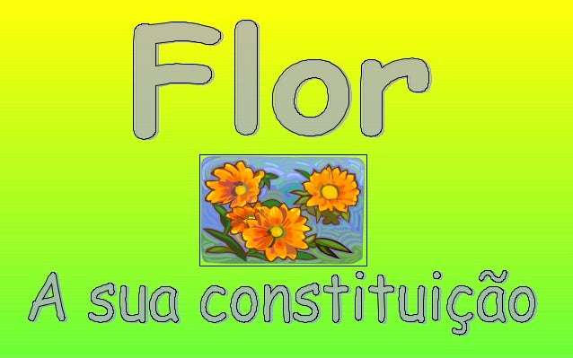 As plantas produzem flores que têm
órgãos masculinos e femininos.
A constituição de uma flor.
 
