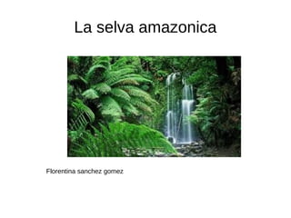 La selva amazonica
Florentina sanchez gomez
 