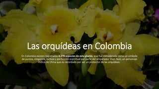 Las orquídeas en Colombia
En Colombia existen registradas 4.270 especies de esta planta, que fue considerada como un símbolo
de pureza, elegancia, belleza y perfección espiritual por parte del emperador Shen Nun, un personaje
mítico de China que es recordado por ser un protector de las orquídeas.
 