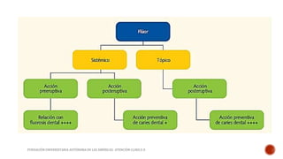 FUNDACIÓN UNIVERSITARIA AUTÓNOMA DE LAS AMÉRICAS- ATENCIÓN CLINICA II 
 