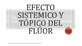 FUNDACIÓN UNIVERSITARIA AUTÓNOMA DE LAS AMÉRICAS- ATENCIÓN CLINICA II 
 