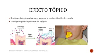  Disminuye la remineralización y aumenta la remineralización del esmalte 
 Saliva principal transportador del F tópico 
FUNDACIÓN UNIVERSITARIA AUTÓNOMA DE LAS AMÉRICAS- ATENCIÓN CLINICA II 
 