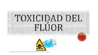 FUNDACIÓN UNIVERSITARIA AUTÓNOMA DE LAS AMÉRICAS- ATENCIÓN CLINICA II 
 