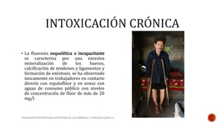  La fluorosis esquelética o incapacitante 
se caracteriza por una excesiva 
mineralización de los huesos, 
calcificación de tendones y ligamentos y 
formación de exóstosis. se ha observado 
únicamente en trabajadores en contacto 
directo con espatoflúor y en zonas con 
aguas de consumo público con niveles 
de concentración de flúor de más de 20 
mg/l. 
FUNDACIÓN UNIVERSITARIA AUTÓNOMA DE LAS AMÉRICAS- ATENCIÓN CLINICA II 
 