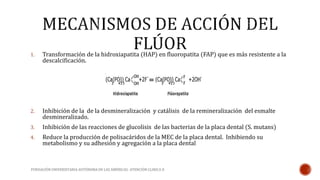 1. Transformación de la hidroxiapatita (HAP) en fluoropatita (FAP) que es más resistente a la 
descalcificación. 
2. Inhibición de la de la desmineralización y catálisis de la remineralización del esmalte 
desmineralizado. 
3. Inhibición de las reacciones de glucolisis de las bacterias de la placa dental (S. mutans) 
4. Reduce la producción de polisacáridos de la MEC de la placa dental. Inhibiendo su 
metabolismo y su adhesión y agregación a la placa dental 
FUNDACIÓN UNIVERSITARIA AUTÓNOMA DE LAS AMÉRICAS- ATENCIÓN CLINICA II 
 