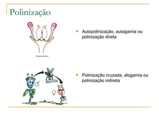 Polinização Autopolinização, autogamia ou polinização direta Polinização cruzada, alogamia ou polinização indireta 