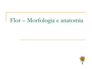 Flor – Morfologia e anatomia 