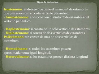 Vertificilo FLOR 1.ppt