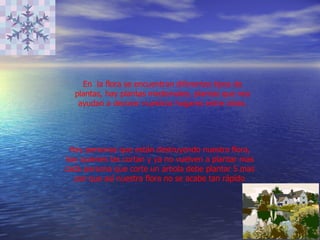 En  la flora se encuentran diferentes tipos de plantas, hay plantas medicinales, plantas que nos ayudan a decorar nuestros hogares entre otras. Hay personas que están destruyendo nuestra flora, hay quienes las cortan y ya no vuelven a plantar mas cada persona que corte un arbola debe plantar 5 mas par que así nuestra flora no se acabe tan rápido 