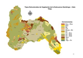 Tipos Estructurales de Vegetación de la Subcuenca Sambingo – Hato
                               Viejo.




                                               Convenciones
                                                   Bna – Rna
                                                   Bnd
                                                   Bp
                                                   Cm
                                                   Ms/cp – Bn
                                                   Pn
                                                   Pn – Bna
                                                   Pn – Rna
                                                   Pn – Rnd
                                                   Rnd
                                                   Vp
                                                   Vsp – Pn




                                                             12
 
