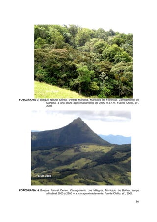 02-7-2006
                    29-06-2006


FOTOGRAFIA 3 Bosque Natural Denso. Vereda Marsella, Municipio de Florencia, Corregimiento de
                 Marsella. a una altura aproximadamente de 2100 m.s.n.m. Fuente Chilito, W.,
                 2006.




              07-07-2006




FOTOGRAFIA 4 Bosque Natural Denso. Corregimiento Los Milagros, Municipio de Bolívar, rango
                 altitudinal 2600 a 2800 m.s.n.m aproximadamente. Fuente Chilito, W., 2006.


                                                                                         16
 