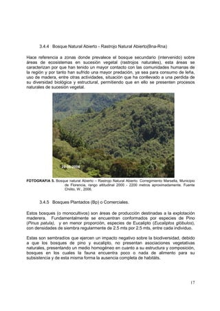 3.4.4 Bosque Natural Abierto - Rastrojo Natural Abierto(Bna-Rna)

Hace referencia a zonas donde prevalece el bosque secundario (intervenido) sobre
áreas de ecosistemas en sucesión vegetal (rastrojos naturales), esta áreas se
caracterizan por que han tenido un mayor contacto con las comunidades humanas de
la región y por tanto han sufrido una mayor predación, ya sea para consumo de leña,
uso de madera, entre otras actividades, situación que ha conllevado a una perdida de
su diversidad biológica y estructural, permitiendo que en ello se presenten procesos
naturales de sucesión vegetal.




                    29-06-2006


FOTOGRAFIA 5. Bosque natural Abierto – Rastrojo Natural Abierto. Corregimiento Marsella, Municipio
                  de Florencia, rango altitudinal 2000 - 2200 metros aproximadamente. Fuente
                  Chilito, W., 2006.


       3.4.5 Bosques Plantados (Bp) o Comerciales.

Estos bosques (o monocultivos) son áreas de producción destinadas a la explotación
maderera. Fundamentalmente se encuentran conformados por especies de Pino
(Pinus patula), y en menor proporción, especies de Eucalipto (Eucaliptos glóbulos),
con densidades de siembra regularmente de 2.5 mts por 2.5 mts, entre cada individuo.

Estas son sembradíos que ejercen un impacto negativo sobre la biodiversidad, debido
a que los bosques de pino y eucalipto, no presentan asociaciones vegetativas
naturales, presentando un medio homogéneo en cuanto a su estructura y composición,
bosques en los cuales la fauna encuentra poco o nada de alimento para su
subsistencia y de esta misma forma la ausencia completa de habitáts.




                                                                                               17
 