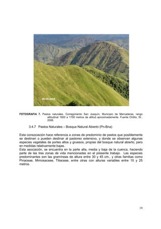 06-09-2006




FOTOGRAFIA 7. Pastos naturales. Corregimiento San Joaquín, Municipio de Mercaderes, rango
                  altitudinal 1600 a 1750 metros de altitud aproximadamente. Fuente Chilito, W.,
                  2006.

       3.4.7 Pastos Naturales – Bosque Natural Abierto (Pn-Bna)

Esta consociación hace referencia a zonas de predominio de pastos que posiblemente
se destinan o pueden destinar al pastoreo extensivo, y donde se observan algunas
especies vegetales de portes altos y gruesos, propias del bosque natural abierto, pero
en medidas relativamente bajas.
Esta asociación, se encuentra en la parte alta, media y baja de la cuenca, haciendo
parte de las tres zonas de vida mencionadas en el presente trabajo. Las especies
predominantes son las gramíneas de altura entre 30 y 45 cm., y otras familias como
Pinaceae, Mimosaceae, Tiliaceae, entre otras con alturas variables entre 10 y 25
metros.




                                                                                             19
 