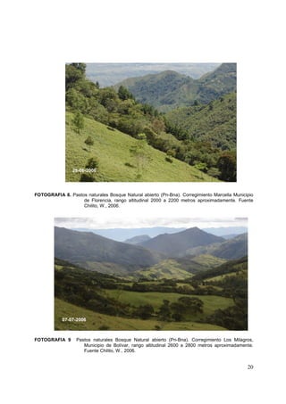 29-06-2006




FOTOGRAFIA 8. Pastos naturales Bosque Natural abierto (Pn-Bna). Corregimiento Marcella Municipio
                   de Florencia, rango altitudinal 2000 a 2200 metros aproximadamente. Fuente
                   Chilito, W., 2006.




            07-07-2006



FOTOGRAFIA 9      Pastos naturales Bosque Natural abierto (Pn-Bna). Corregimiento Los Milagros,
                     Municipio de Bolívar, rango altitudinal 2600 a 2800 metros aproximadamente.
                     Fuente Chilito, W., 2006.


                                                                                             20
 