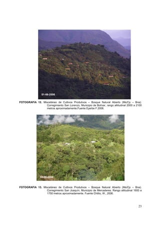 01-06-2006

FOTOGRAFIA 12. Misceláneo de Cultivos Produtivos – Bosque Natural Abierto (Ms/Cp – Bna).
                  Corregimiento San Lorenzo, Municipio de Bolívar, rango altitudinal 2000 a 2100
                  metros aproximadamente.Fuente Eyerbe F.2006.




                10-06-2006


FOTOGRAFIA 13. Misceláneo de Cultivos Produtivos – Bosque Natural Abierto (Ms/Cp – Bna).
                  Corregimiento San Joaquín, Municipio de Mercaderes. Rango altitudinal 1600 a
                  1750 metros aproximadamente. Fuente Chilito, W., 2006.



                                                                                             23
 