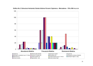Gráfico No 3. Estructura Horizontal, Estrato Arbóreo Porvenir Cajamarca – Mercaderes – 750 a 900 m.s.n.m.

 120



 100



   80



   60



   40



   20



     0
                     Abundancia Relativa                                  Frecuencia Relativa                      Dominancia Relativa
Jatropha sp.                               Calliandra pittieri Standley              Erythroxylum haughtii                 Eugenia Sp.
Zanthoxylum monophyllum (Lam.) P. Wilson   Guazuma cf ulmifolia Lam.                 Pithecellobium Sp.                    Citharexylum kunthianum Moldenke
Platymiscium sp.                           Casearia sylvestris Sw.                   Coutarea hexandra (Jacq.) K. Schum.   Zanthoxylum fagara (L.) Sarg.
Annona muricata L.                         Fagara pterota L. Syst.                   Duranta coriacea Hayek



                                                                                                                                                              36
 