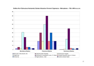 Gráfico No 4 Estructura Horizontal, Estrato Arbustivo Porvenir Cajamarca – Mercaderes – 750 a 900 m.s.n.m.

90



80



70



60



50



40



30


20



10



0
                  Abundancia Relativa              Frecuencia Relativa                        Dominancia Relativa

     Myrcia aff. mollis (Kunth.) DC.    Calliandra pittieri Standley               Erythroxylum haughtii
     Eugenia Sp.                        Zanthoxylum monophyllum (Lam.) P. Wilson   Coutarea hexandra (Jacq.) K. Schum.
     Annona Sp.                         Fagara pterota L. Syst.                    Duranta coriacea Hayek



                                                                                                                         37
 