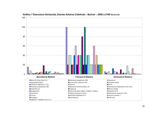 Gráfico 7 Estructura Horizontal, Estrato Arbóreo Cafelinda – Bolívar – 2000 a 2100 m.s.n.m.
120




100




80




60




40




20




 0
                   Abundancia Relativa                        Frecuencia Relativa                               Dominancia Relativa
       Myrcia aff. mollis (Kunth.) DC.            Heliocarpus popayanensis HBK                         Saurauia sp.
       Inga densiflora Benth.                     Cinchona aff. Pubescens Vahl.                        Euphorbia lactazzi
       Delostoma integrifolium D. Don             Cacia sp.                                            Sp 021
       Heliocarpus popayanensis HBK               Miconia aff. Minutiflora (Bonpl.) DC.                Cavendishia bracteata (Ruiz & Pav.) Hoer.
       Geissanthus sp.                            Cupania sp.                                          Miconia Caudata
       Anaxagorea sp.                             Arachnotryx perezii (Standl. ex Steyerm.) Steyerm.   Nectandra sp 00.
       Cecropia sp                                Cestrum ochraceum Francey                            Palicourea cf crocea (Sw.) R.&S.
       Ficus sp.                                  Alchornea coelophylla P & H                          Viburnum tinoides L.f.
       Roupala sp                                 Critoniopsis sp.                                     Erithrina sp
       Aegiphila cf. integrifolia (Jacq.) B. D.




                                                                                                                                                   40
 