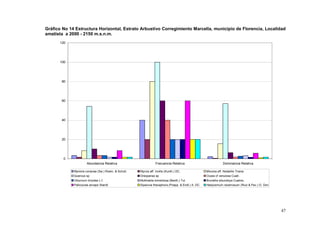 Gráfico No 14 Estructura Horizontal, Estrato Arbustivo Corregimiento Marcella, municipio de Florencia, Localidad
amatista a 2000 - 2150 m.s.n.m.
      120




      100




       80




       60




       40




       20




        0
                      Abundancia Relativa                        Frecuencia Relativa                            Dominancia Relativa

             Myrsine coriacea (Sw.) Roem. & Schult.   Myrcia aff. mollis (Kunth.) DC.               Miconia aff. Notabilis Triana
             Quercus sp                               Oreopanax sp                                  Clusia cf venulosa Cuatr.
             Viburnum tinoides L.f.                   Mollinedia tomentosa (Benth.) Tul.            Brunellia sibundoya Cuatrec.
             Palicourea anceps Standl.                Siparuna thecaphora (Poepp. & Endl.) A. DC.   Hedyosmum racemosum (Ruiz & Pav.) G. Don




                                                                                                                                               47
 