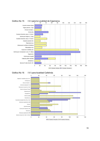 Gráfico No 15                            I.V.I para la Localidad de Cajamarca.
                                                         0        20    40               60         80          100         120        140         160    180

                         Duranta coriacea Hayek

                          Fagara pterota L. Syst.

                                Annona muricata L.

                                           Annona Sp.

      Coutarea hexandra (Jacq.) K. Schum.

                 Zanthoxylum fagara (L.) Sarg.

      Coutarea hexandra (Jacq.) K. Schum.

                          Casearia sylvestris Sw.

                                    Platymiscium sp.

         Citharexylum kunthianum Moldenke

                                 Pithecellobium Sp.

                      Guazuma cf ulmifolia Lam.

 Zanthoxylum monophyllum (Lam.) P. Wilson

                                          Eugenia Sp.

                             Erythroxylum haughtii

                       Calliandra pittieri Standley

                                          Jatropha sp.

                 Myrcia aff. mollis (Kunth.) DC.

                                                         0    20       40           60         80        100          120        140    160        180    200

                                                                                     IVI Estrato Arbóreo      IVI Estrato Arbustivo



Gráfico No 16                            I:V:I para localidad Cafelinda
                                                    0        20             40                60              80             100             120         140

         Aegiphila cf. integrifolia (Jacq.) B. D.


                                Critoniopsis sp.


                         Viburnum tinoides L.f.


                  Alchornea coelophylla P & H


             Palicourea cf crocea (Sw.) R.&S.


                 Cestrum ochraceum Francey


                              Nectandra sp 00.


                                Anaxagorea sp.


                               Miconia caudata


                               Geissanthus sp.


    Cavendishia bracteata (Ruiz & Pav.) Hoer.


              Heliocarpus popayanensis HBK


                                       Cacia sp.


                             Euphorbia lactazzi


               Cinchona aff. Pubescens Vahl.


                                   Saurauia sp.


              Heliocarpus popayanensis HBK


      Myrsine coriacea (Sw.) Roem. & Schult.


                                                    0        20             40                60              80             100             120         140

                                                                                 IVI Estrato Arbustivo     IVI Estrato Arboreo




                                                                                                                                                               50
 