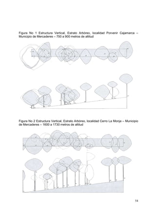 Figura No 1 Estructura Vertical, Estrato Arbóreo, localidad Porvenir Cajamarca –
Municipio de Mercaderes – 750 a 900 metros de altitud




Figura No 2 Estructura Vertical, Estrato Arbóreo, localidad Cerro La Monja – Municipio
de Mercaderes – 1600 a 1730 metros de altitud




                                                                                   54
 