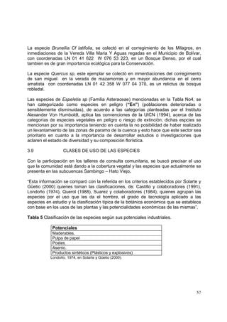 La especie Brunellia Cf latifolia, se colectó en el corregimiento de los Milagros, en
inmediaciones de la Vereda Villa Maria Y Aguas regadas en el Municipio de Bolívar,
con coordenadas LN 01 41 622 W 076 53 223, en un Bosque Denso, por el cual
tambien es de gran importancia ecológica para la Conservación.

La especie Quercus sp, este ejemplar se colectó en inmerdiaciones del corregimiento
de san miguel en la verada de mazamorras y en mayor abundancia en el cerro
amatista con coordenadas LN 01 42 358 W 077 04 370, es un relictus de bosque
robledal.

Las especies de Espeletia sp (Familia Asteraceae) mencionadas en la Tabla No4, se
han categorizado como especies en peligro (“En”) (poblaciones deterioradas o
sensiblemente disminuidas), de acuerdo a las categorías planteadas por el Instituto
Alexander Von Humboldt, aplica las convenciones de la UICN (1994), acerca de las
categorías de especies vegetales en peligro o riesgo de extinción; dichas espcies se
mencionan por su importancia teniendo en cuenta la no posibilidad de haber realizado
un levantamiento de las zonas de paramo de la cuenca y esto hace que este sector sea
prioritario en cuanto a la importancia de desarrollar estudios o investigaciones que
aclaren el estado de diversidad y su composición florística.

3.9               CLASES DE USO DE LAS ESPECIES

Con la participación en los talleres de consulta comunitaria, se buscó precisar el uso
que la comunidad está dando a la cobertura vegetal y las especies que actualmente se
presenta en las subcuencas Sambingo – Hato Viejo.

“Esta información se comparó con la referida en los criterios establecidos por Solarte y
Güetio (2000) quienes toman las clasificaciones, de: Castillo y colaboradores (1991),
Londoño (1974), Querol (1988), Suarez y colaboradores (1984); quienes agrupan las
especies por el uso que les da el hombre, el grado de tecnología aplicado a las
especies en estudio y la clasificación típica de la botánica económica que se establece
con base en los usos de las plantas y las potencialidades económicas de las mismas”.

Tabla 5 Clasificación de las especies según sus potenciales industriales.

            Potenciales
            Maderables.
            Pulpa de papel
            Postes.
            Aserrio.
            Productos sintéticos (Plásticos y explosivos)
           Londoño, 1974, en Solarte y Güetio (2000).




                                                                                     57
 