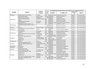 DETERMINACIÓN DEL POTENCIAL SEGÚN LA CLASIFICACIÓN DE




                                                                              Arbustivo
                                                                                          Arbóreo
                                                                Nombre                                                                                  Suarez et
   Familia                      Especie
                                                                Comun                                 Londoño                  Castillo et al.                         Querol
                                                                                                                                                           al.
Meliaceae       Ruagea hirsuta (C. DC.) Harms               Cedrillo          X                     Maderable (Leña)   Carpinteria, Protección          Grupo 2     No Convecional
                Inga densiflora Benth.                      Guamo Negro       X X                   Maderables         Sombrío en cultivos              Grupo 2     No Convencional
                Mimosa quitensis Kunth                      Guarango            X                   Maderable          Combustible                      Grupo 3     No Convencional
                Inga cf villosissima Benth.                 Guamo Churimbo    X                     Maderable          Sombrío en cultivos              Grupo 3     No Convencional
Mimosaceae
                Inga sp.                                                      X                     Maderable          Protección de Cauces             Grupo 3     No Convecional
                Calliandra pittieri Standley                Carbonero         X                     Maderable          Protección de Cauces             Grupo 3     No Convencional
                Pithecellobium sp.                          Payande           X                     Maderable (Leña)   Protección de Cauces, Sombrio.   Grupo 3     No Convencional
                Mollinedia tomentosa (Benth.) Tul.                            X                     Maderable          Sombrío en cultivos              Grupo 3     No Convencional
Monimiaceae     Siparuna thecaphora (Poepp. & Endl.) A.
                                                                                          X Maderable                  Protección de causes             Grupo 3     No Convencional
                DC.
Moraceae        Ficus sp.                                   Higueron Blanco   X X                   Maderable          Protección de causes             Grupo 2     No Convencional
                Morella pubescens (Humb. & Bonpl ex                                                 Maderable,
Myricaceae                                                  Laurel            X                                        Aporte de Materia Orgánica       Grupo 2     No Convencional
                Willd.) Wilbur                                                                      Postes
                Geissanthus sp.                             Charmolan         X                     Maderable          Aporte de Materia Orgánica       Grupo 2     No Convencional
                Ardisia sp.                                 Motilon           X                     Maderable          Alimenticio (Fruto).             Grupo 3     No Convencional
Myrsinaceae
                Myrsine coriacea (Sw.) Roem. & Schult.      Calabernero       X X                   Maderable          Protección de Cauces             Grupo 2     No Convencional
                Myrsine sp.                                 Cucarachero       X                     Maderable Postes   Construcción, Protección.        Grupo 3     No Convencional
                Myrcia aff. mollis (Kunth.) DC.             Arrayan             X                   Maderable Postes   Alimenticio (Fruto).             Grupo 3     No Convencional
                Myrcia sp.                                  Arrayan Churoso   X                     Aserrío            Construcción                     Grupo 2     No Convencional
Myrtaceae
                Eugenia sp 2.                               Arrayan Guayabo   X                     Postes (Leña)      Alimenticio                      Grupo 2     No Convencional
                Eugenia sp 1                                                  X                     Maderable (Leña)   Protección de Cauces             Grupo 3     No Convencional
Nyctaginaceae   Neea sp.                                    Hierro            X                     Maderable          Protección de Cauces             Grupo 3     No Convencional
                Piper aff. glonadligerum CDC                Cordoncillo         X                   Maderable          Protección de Cauces             Grupo 3     No Convencional
Piperaceae      Piper hartwegianum (Benht.) CDC             Cordoncillo Ancho   X                   Maderable          Protección de Cauces             Grupo 3     No Convencional
                Piper sp.                                   Nudillo           X                     Maderable (Leña)   Protección de Cauces             Grupo 3     No Convencional
Poligalaceae    Monnina sp.                                 Guirlan             X                   Maderable          Aporte Materia Organanica        Grupo 3     No Convencional
Proteaceae      Roupala sp                                  Carne de fiambre  X                     Maderable          Protección de Cauces             Grupo 3     No Convencional
                Prunus muris Cuatrec.                                         X                     Maderable          Aporte Materia Organanica        Grupo 3     No Convencional
Rosaceae
                Prunus huantensis Pilger                    Cafecillo Negro     X                   Maderable          Construcción                     Grupo 3     No Convencional
                Cinchona aff. Pubescens Vahl.               Cascarillo          X                   Maderable          Protección de Cauces             Grupo 3     No Convencional
                Palicourea sp. 1                                              X                     Maderable          Protección de Cauces             Grupo 2     No Convencional
                Palicurea sp. 2                             Platanillo        X                     Maderable (Leña)   Ornamental, Aporte M.Org.        Grupo 3     No Convencional
Rubiaceae       Palicurea sp. 3                             Platanillo Negro    X                   Leña               Aporte de Materia Orgánica       Grupo 3     No Convencional
                Psychotria cf. officinalis (Aubl.) Sandw.   Cafecillo         X                     Maderable          Aporte de Materia Orgánica       Grupo 3     No Convencional
                Psychotria carthagenensis Jacq.             Huesillo            X                   Maderable (Leña)   Combustible                      Grupo 3     No Convencional
                Elaeagia sp.                                                    X                   Maderable          Protección de Cauces             Grupo 3     No Convencional




                                                                                                                                                                              64
 