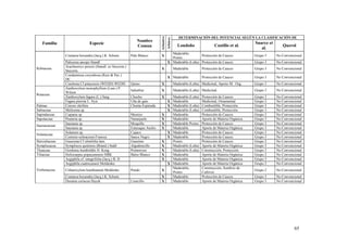 DETERMINACIÓN DEL POTENCIAL SEGÚN LA CLASIFICACIÓN DE




                                                                              Arbustivo
                                                                                          Arbóreo
                                                                Nombre                                                                           Suarez et
   Familia                      Especie
                                                                Comun                                 Londoño                Castillo et al.                    Querol
                                                                                                                                                    al.
                                                                                            Maderable;
                Coutarea hexandra (Jacq.) K. Schum.         Palo Blanco       X                              Protección de Cauces                Grupo 3     No Convencional
                                                                                            Postes
                Palicurea anceps Standl                                                   X Maderable (Leña) Protección de Cauces                Grupo 3     No Convencional
                Arachnotryx perezii (Standl. ex Steyerm.)
Rubiaceae                                                                     X                     Maderable        Protección de Cauces        Grupo 3     No Convencional
                Steyerm.
                Condaminea corymbosa (Ruiz & Pav.)
                                                                                          X Maderable                Protección de Cauces        Grupo 3     No Convencional
                DC.
                Cinchona Cf pitayeusis (WEDD) WEDD.         Quino             X                     Maderable (Leña) Medicinal, Aporte M. Org.   Grupo 3     No Convencional
                Zanthoxylum monophyllum (Lam.) P.
                                                            Salsafraz         X                     Maderable (Leña) Medicinal.                  Grupo 3     No Convencional
                Wilson
Rutaceae
                Zanthoxylum fagara (L.) Sarg.               Chucho            X             Maderable (Leña) Protección de Cauces                Grupo 3     No Convencional
                Fagara pterota L. Syst.                     Uña de gato                   X Maderable        Medicinal, Ornamental               Grupo 2     No Convencional
Palmae          Corozo oleifera                             Chonta Espinuda               X Maderable (Leña) Combustible, Protección.            Grupo 3     No Convencional
Sabiaceae       Meliosma sp.                                                              X Maderable (Leña) Combustible, Protección.            Grupo 3     No Convencional
Sapindaceae     Cupania sp.                                 Mestizo           X             Maderable        Protección de Cauces                Grupo 2     No Convencional
Sapotaceae      Pouteria sp.                                Naranjuelo        X             Maderable        Aporte de Materia Orgánica          Grupo 3     No Convencional
                Saurauia sp.                                Moquillo          X             Maderable Postes Protección de Cauces                Grupo 3     No Convencional
Saurauiaceae
                Saurauia sp.                                Esturaque Ancho   X             Maderable        Aporte de Materia Orgánica          Grupo 3     No Convencional
                Solanum sp.                                 Cujaco                        X Maderable        Protección de Cauces                Grupo 3     No Convencional
Solanaceae
                Cestrum ochraceum Francey                   Sauco Negro                   X Maderable        Protección de Cauces                Grupo 3     No Convencional
Sterculiaceae   Guazuma Cf ulmifolia lam.                   Guasimo           X             Postes           Protección de Cauces                Grupo 2     No Convencional
Symplocacea     Symplocos quitensis (Brand.) Stahl          Algodoncillo      X             Maderable (Leña) Aporte de Materia Orgánica          Grupo 3     No Convencional
Theaceae        Gordonia humboldtii H. Keng                 Pomorroso         X             Maderable (Leña) Construcción, Protección.           Grupo 3     No Convencional
Tiliaceae       Heliocarpus popayanensis HBK                Balso Blanco      X             Maderable        Aporte de Materia Orgánica          Grupo 2     No Convencional
                Aegiphila cf. integrifolia (Jacq.) B. D.                      X             Maderable        Aporte de Materia Orgánica          Grupo 3     No Convencional
                Aegiphila cuatrecasasii Moldenke                                          X Maderable        Aporte de Materia Orgánica          Grupo 2     No Convencional
                                                                                            Maderable;       Construcción, Sombrio de
Verbenaceae     Citharexylum kunthianum Moldenke            Pendo             X                                                                  Grupo 2     No Convencional
                                                                                            Postes           Cultivos
                Coutarea hexandra (Jacq.) K. Schum.                           X             Maderable        Protección de Cauces                Grupo 3     No Convencional
                Duranta coriacea Hayek                      Lioncillo         X             Maderable        Aporte de Materia Orgánica          Grupo 3     No Convencional




                                                                                                                                                                       65
 