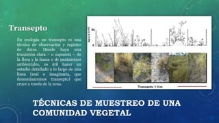 TÉCNICAS DE MUESTREO DE UNA
COMUNIDAD VEGETAL
Transepto
En ecología un transepto es una
técnica de observación y registro
de datos. Donde haya una
transición clara – o supuesta – de
la flora y la fauna o de parámetros
ambientales, es útil hacer un
estudio detallado a lo largo de una
línea (real o imaginaria, que
denominaremos transepto) que
cruce a través de la zona.
 