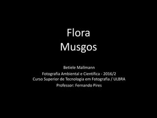 Flora
Musgos
Betiele Mallmann
Fotografia Ambiental e Científica - 2016/2
Curso Superior de Tecnologia em Fotografia / ULBRA
Professor: Fernando Pires
 