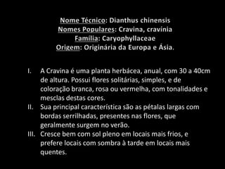 .
I. A Cravina é uma planta herbácea, anual, com 30 a 40cm
de altura. Possui flores solitárias, simples, e de
coloração branca, rosa ou vermelha, com tonalidades e
mesclas destas cores.
II. Sua principal característica são as pétalas largas com
bordas serrilhadas, presentes nas flores, que
geralmente surgem no verão.
III. Cresce bem com sol pleno em locais mais frios, e
prefere locais com sombra à tarde em locais mais
quentes.
 
