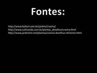 http://www.fazfacil.com.br/jardim/cravina/
http://www.cultivando.com.br/plantas_detalhes/cravina.html
http://www.jardineiro.net/plantas/cravina-dianthus-chinensis.html
 