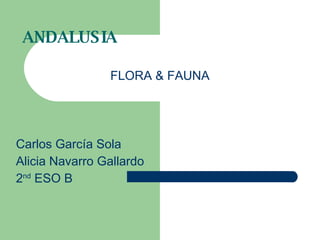 ANDALUSIA FLORA & FAUNA Carlos García Sola Alicia Navarro Gallardo 2 nd  ESO B 