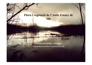 Flora i vegetació de l’Antic Estany de
                  Sils




          Gabriel Mercadal i Corominas
      Grup de Rec...