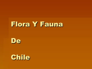 Flora Y Fauna