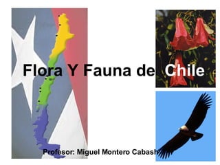 Flora Y Fauna de  Chile Profesor: Miguel Montero Cabash 