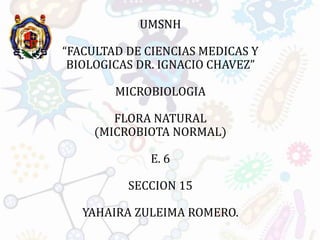 UMSNH
“FACULTAD DE CIENCIAS MEDICAS Y
BIOLOGICAS DR. IGNACIO CHAVEZ”
MICROBIOLOGIA
FLORA NATURAL
(MICROBIOTA NORMAL)
E. 6
SECCION 15
YAHAIRA ZULEIMA ROMERO.
 