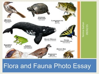 YaninaGaitan
09/02/15
Flora and Fauna Photo Essay
 