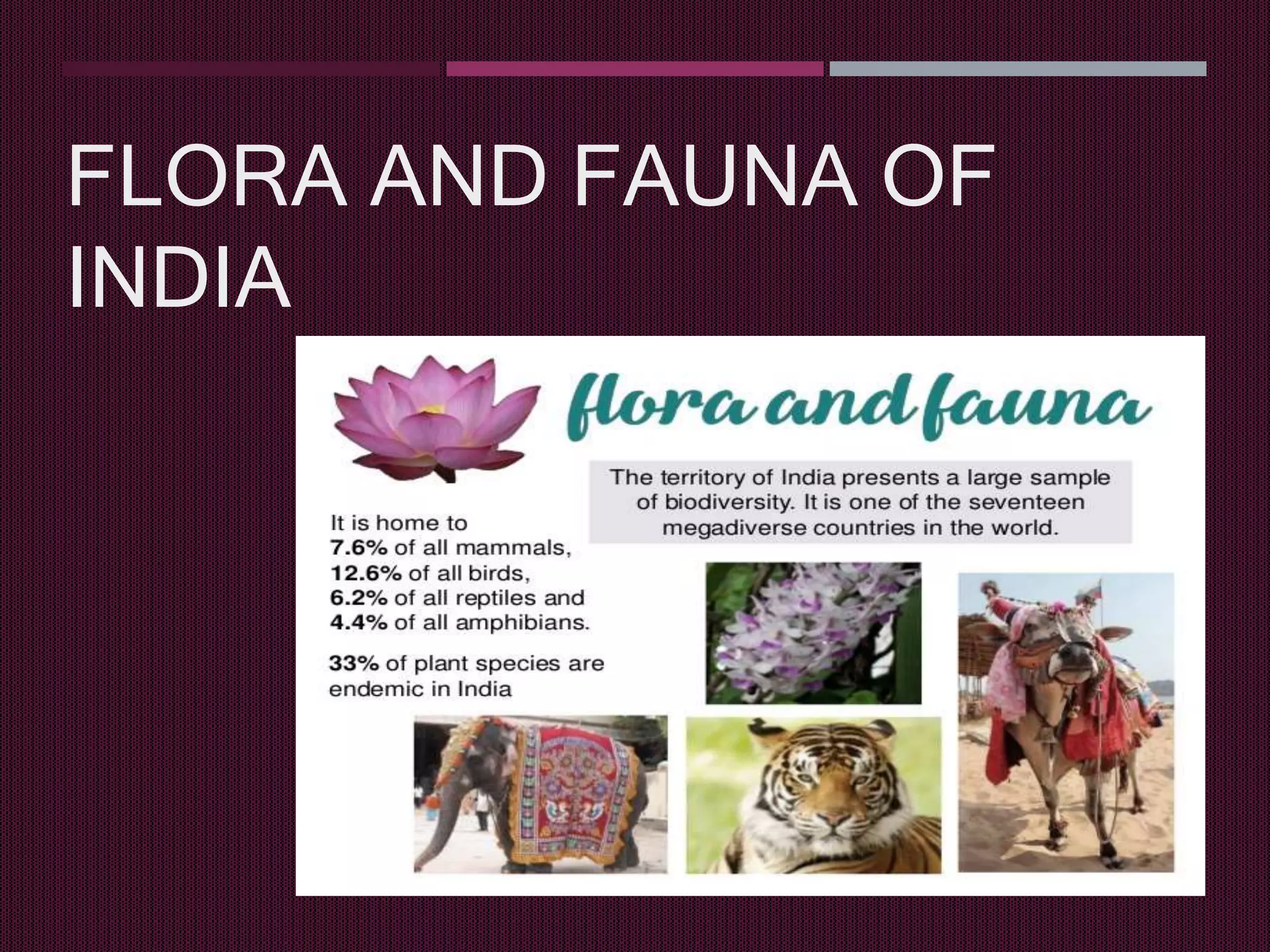 Flora and fauna PPT