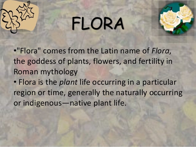 flora-and-fauna-geography