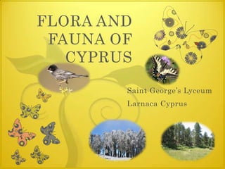 FLORA AND FAUNA OF CYPRUS Saint George’s Lyceum Larnaca Cyprus 