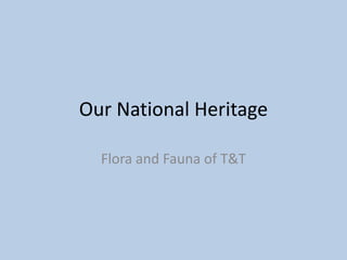 Our National Heritage

  Flora and Fauna of T&T
 