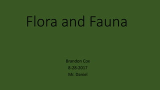 Flora and Fauna
Brandon Cox
8-28-2017
Mr. Daniel
 