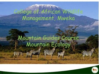 College of African Wildlife
Management, Mweka
Mountain Guides Course
Mountain Ecology
 