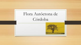 Flora Autóctona de
Córdoba

 