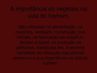 A importância do vegetais na vida do homem. São utilizadas na alimentação, na medicina, vestuário, construção civil, móveis; na fabricação de chapéus, tecidos e papel; na produção de perfumes, inseticidas etc. A enorme variedade de utilização das plantas comprova a sua importância na vida do homem. 